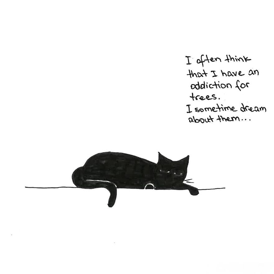 Owner Illustrates The Boring Days His Cat Lived In Quarantine In Fun Comics