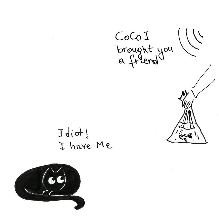 Owner Illustrates The Boring Days His Cat Lived In Quarantine In Fun Comics