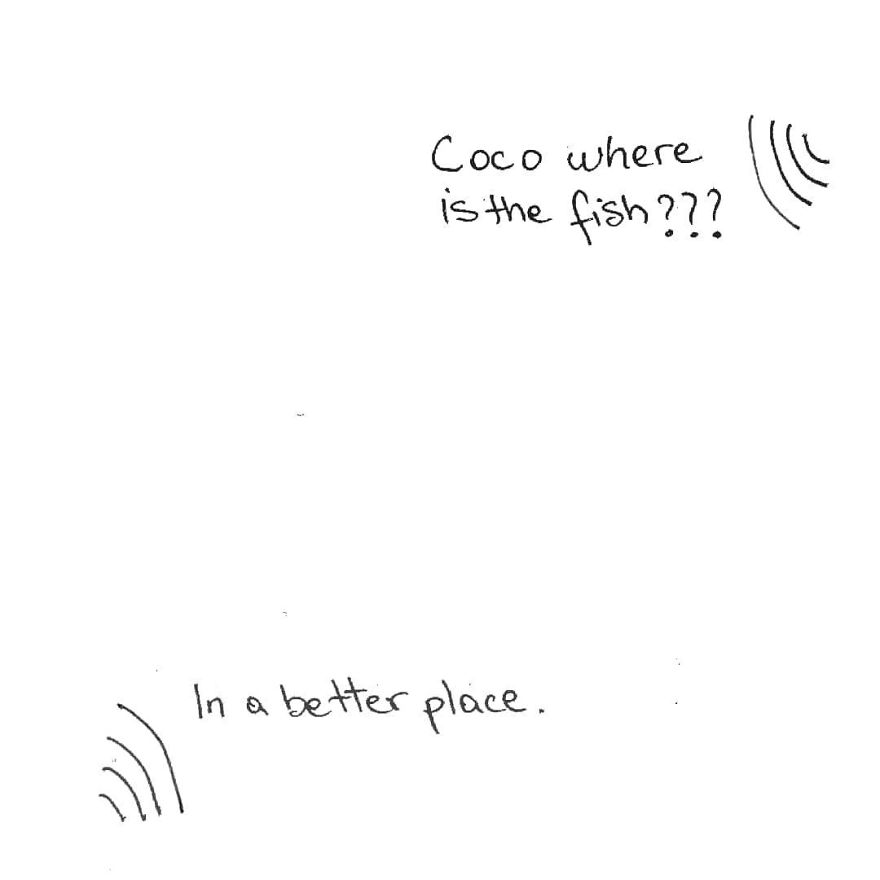 Owner Illustrates The Boring Days His Cat Lived In Quarantine In Fun Comics