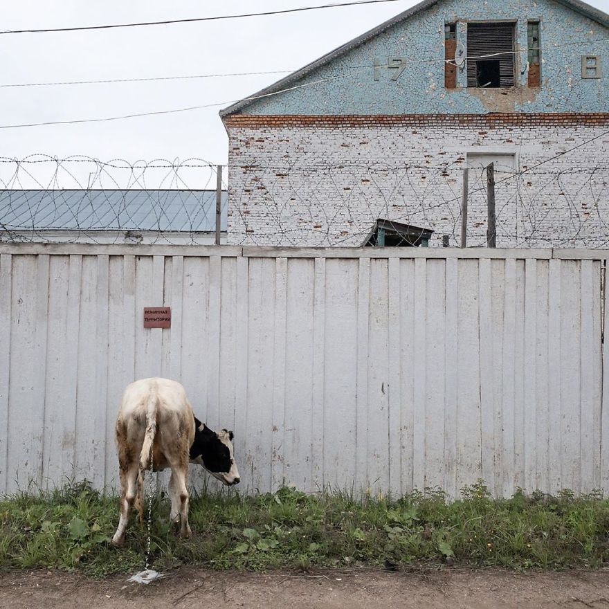 Photographer Reveals Peculiarities Of Russian Daily Life In A Unique Way