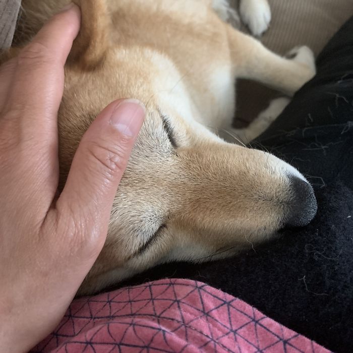 Rare Moment Of Togetherness (Usually She Is Keeping Distance)