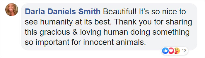 Woman Records This Stranger Leading A Parade Of Dogs, Cats, And Birds Down The Street, And The Scene Looks Magical Woman Records This Stranger Leading A Parade Of Dogs, Cats, And Birds Down The Street, And The Scene Looks Magical