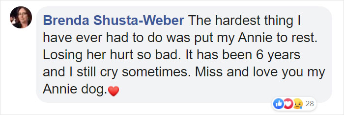 "Before You Get A Puppy, Imagine Yourself 10+ Years From Now": Woman's Brutally Honest Post About Getting A Dog Goes Viral