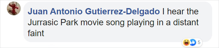 Perfectly Preserved Remains Of A 40,000-Year-Old Ice Age Cave Bear Were Just Discovered In Siberia Perfectly Preserved Remains Of A 40,000-Year-Old Ice Age Cave Bear Were Just Discovered In Siberia