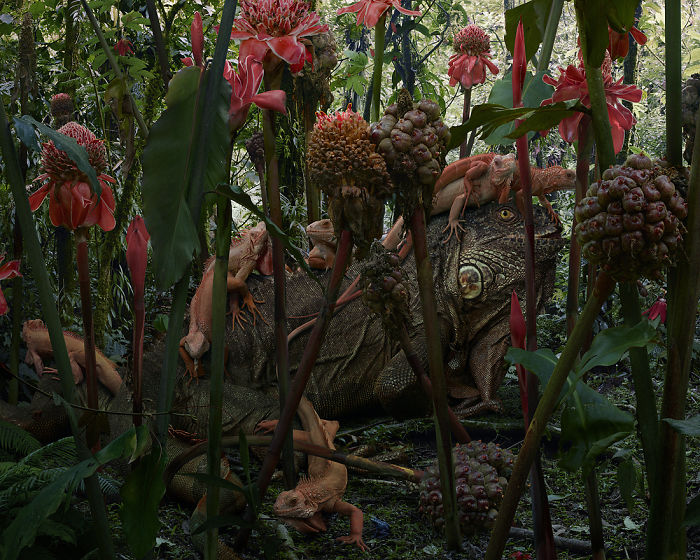 The Allegorical And Unusual Nature Of Simen Johan