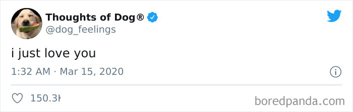 Hilarious-Dog-Thoughts-Tweets