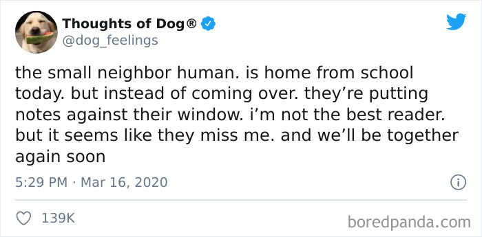 Hilarious-Dog-Thoughts-Tweets