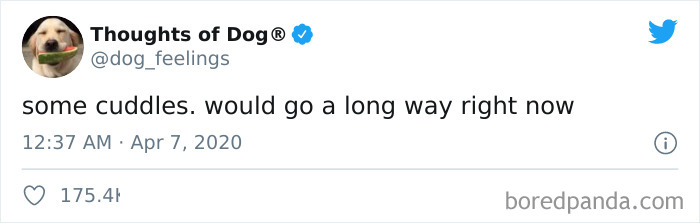 Hilarious-Dog-Thoughts-Tweets