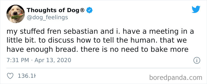 Hilarious-Dog-Thoughts-Tweets