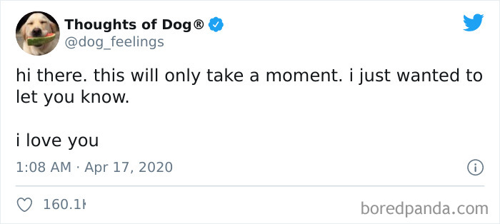 Hilarious-Dog-Thoughts-Tweets