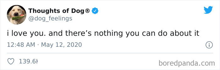 Hilarious-Dog-Thoughts-Tweets