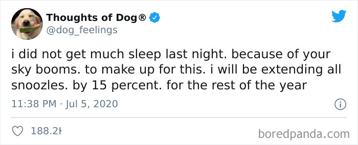 Hilarious-Dog-Thoughts-Tweets