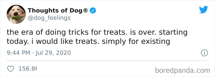 Hilarious-Dog-Thoughts-Tweets