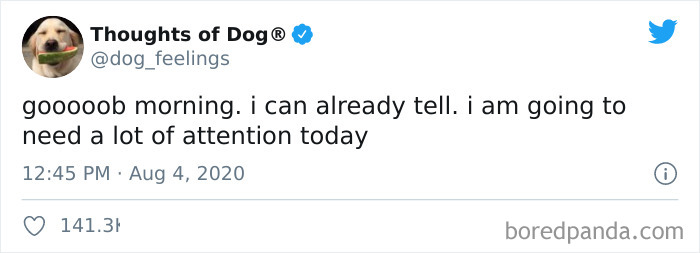 Hilarious-Dog-Thoughts-Tweets