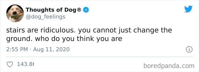 Hilarious-Dog-Thoughts-Tweets