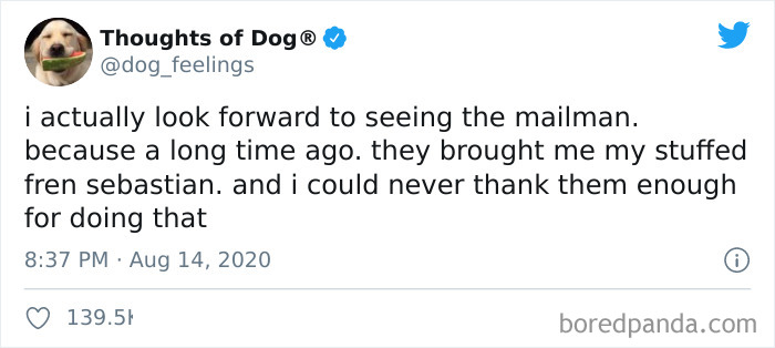 Hilarious-Dog-Thoughts-Tweets