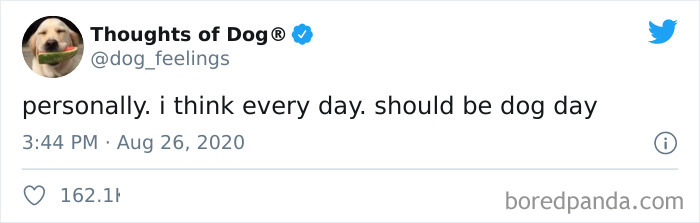 Hilarious-Dog-Thoughts-Tweets