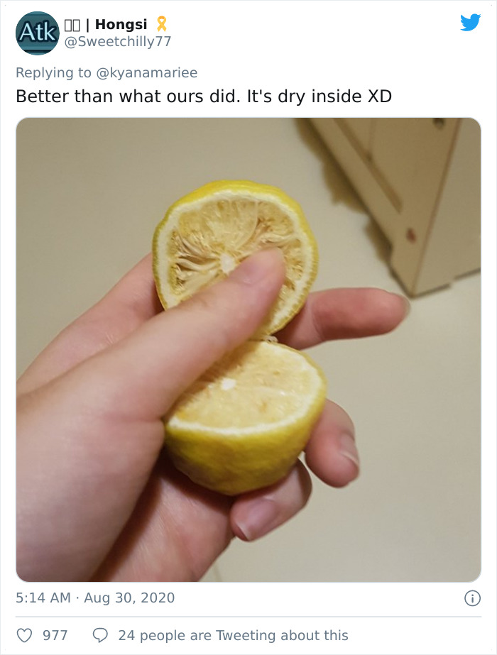 Funny-Failed-Harvest