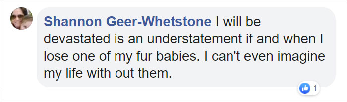 "Before You Get A Puppy, Imagine Yourself 10+ Years From Now": Woman's Brutally Honest Post About Getting A Dog Goes Viral