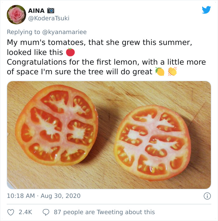 Funny-Failed-Harvest