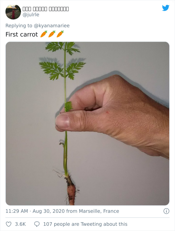 Funny-Failed-Harvest