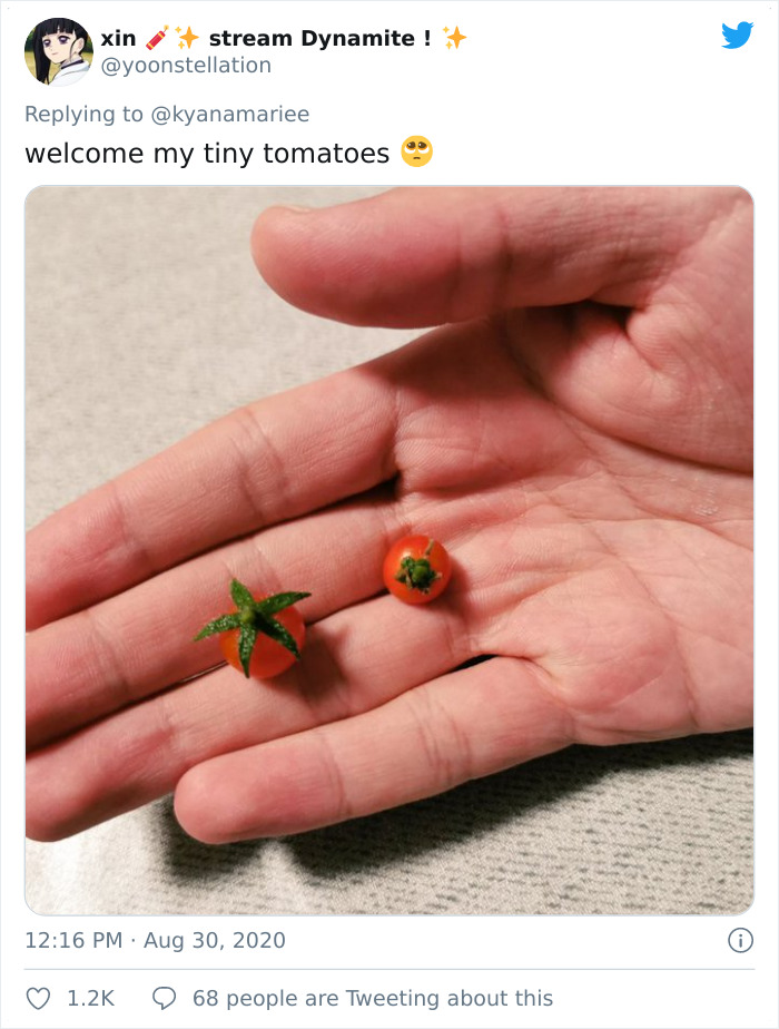 Funny-Failed-Harvest