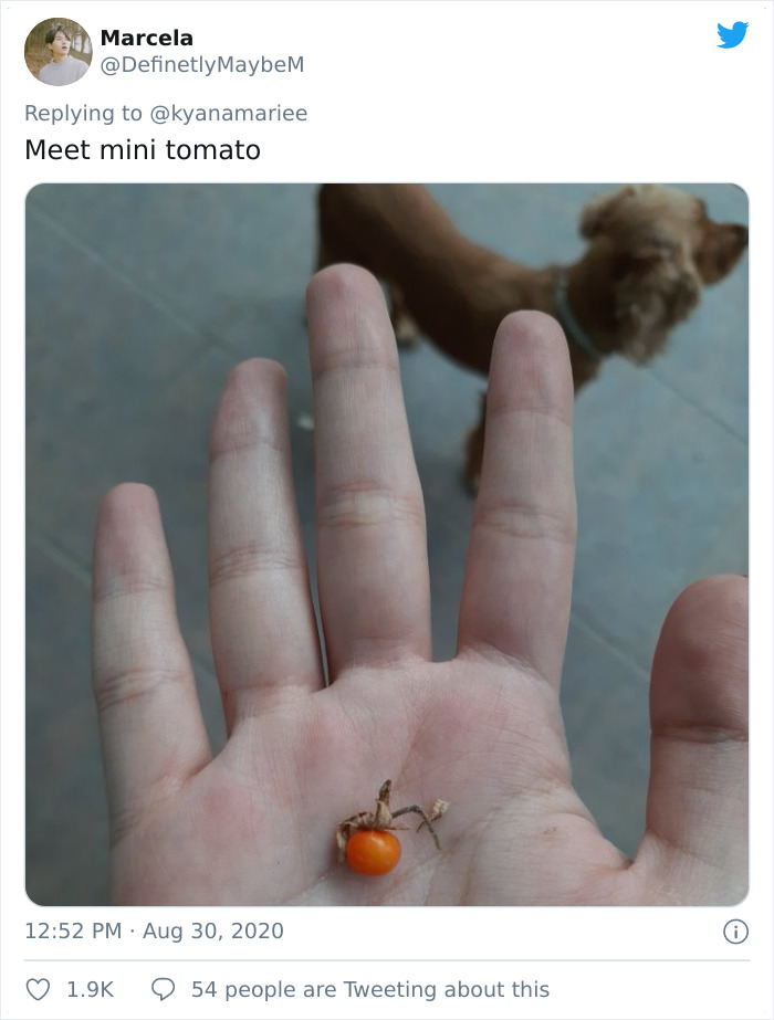 Funny-Failed-Harvest