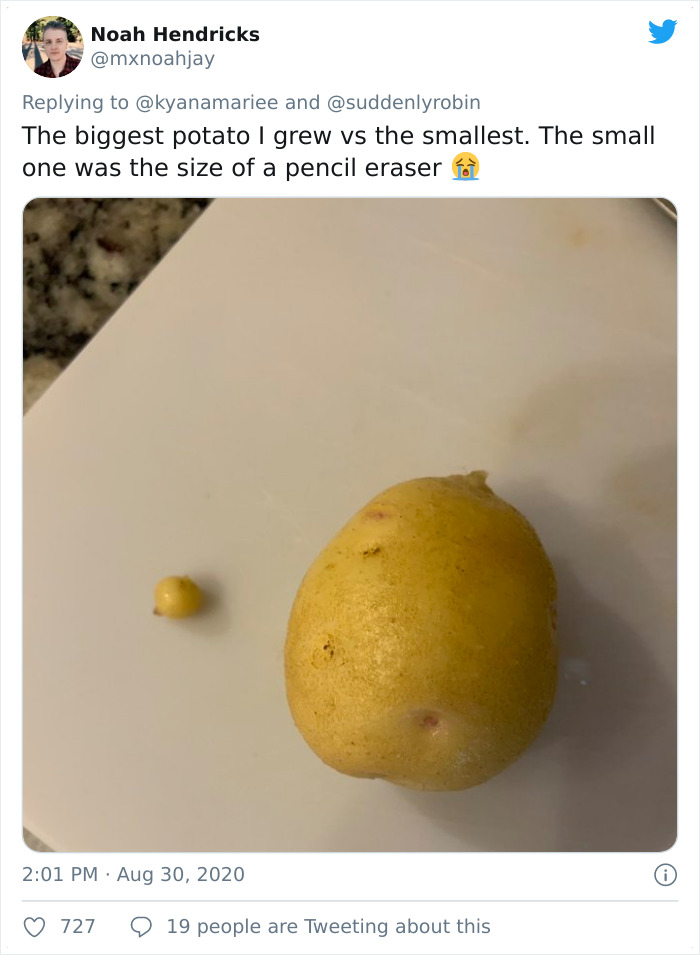 Funny-Failed-Harvest