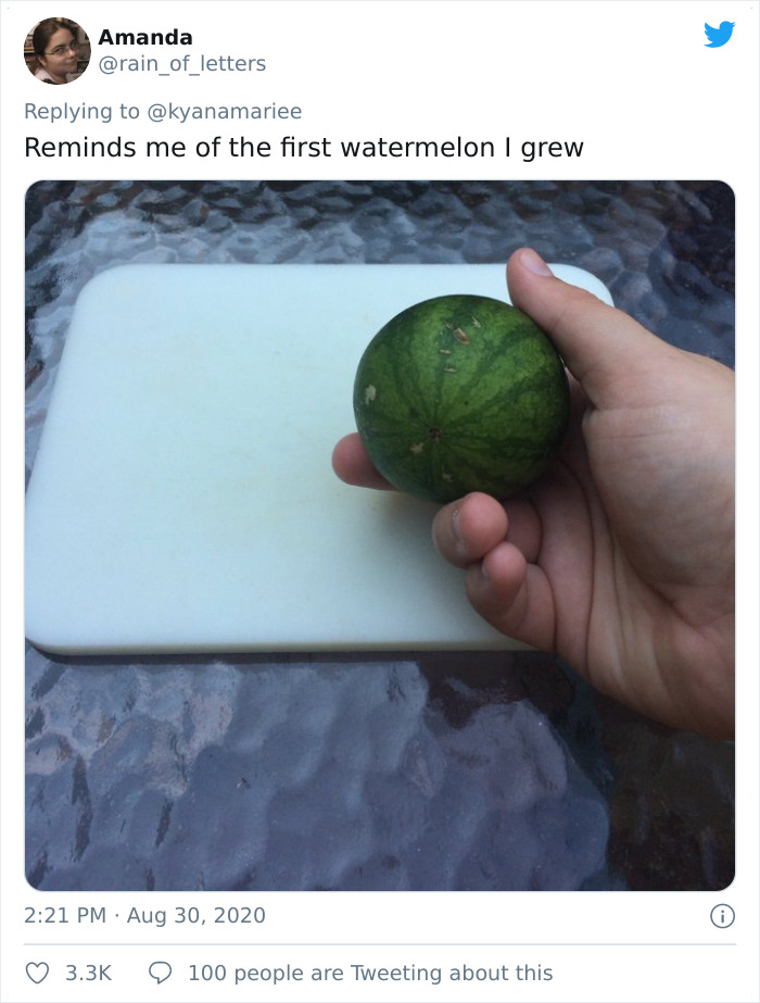 Funny-Failed-Harvest