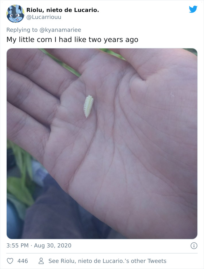 Funny-Failed-Harvest