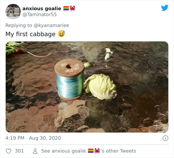 Funny-Failed-Harvest