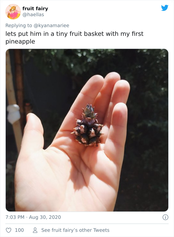 Funny-Failed-Harvest