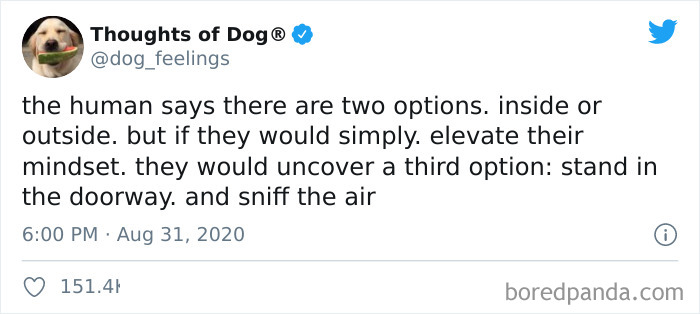 Hilarious-Dog-Thoughts-Tweets