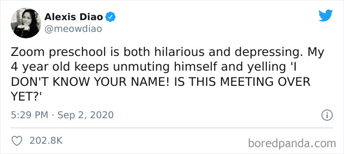 Online School Meetings Can Be Frustrating