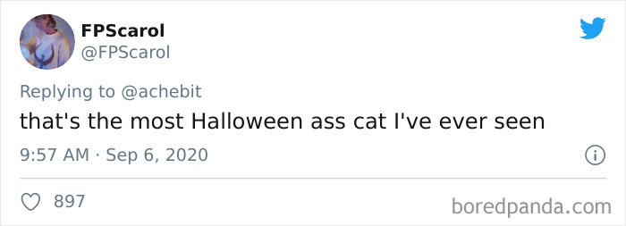 Couple Gets A Cat, And As He Gets Older, His Eyes Change Into Round, Orange, Horror-Like Eyes