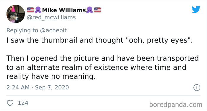 Couple Gets A Cat, And As He Gets Older, His Eyes Change Into Round, Orange, Horror-Like Eyes