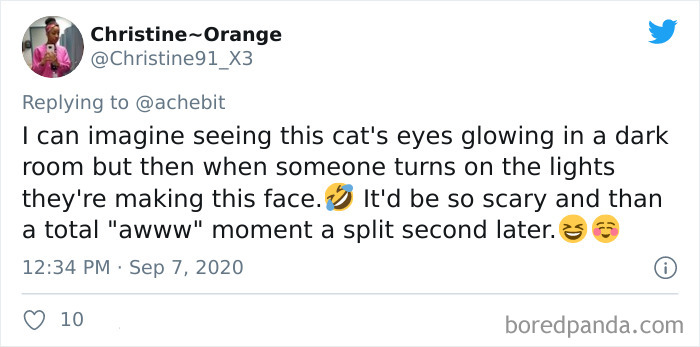 Couple Gets A Cat, And As He Gets Older, His Eyes Change Into Round, Orange, Horror-Like Eyes