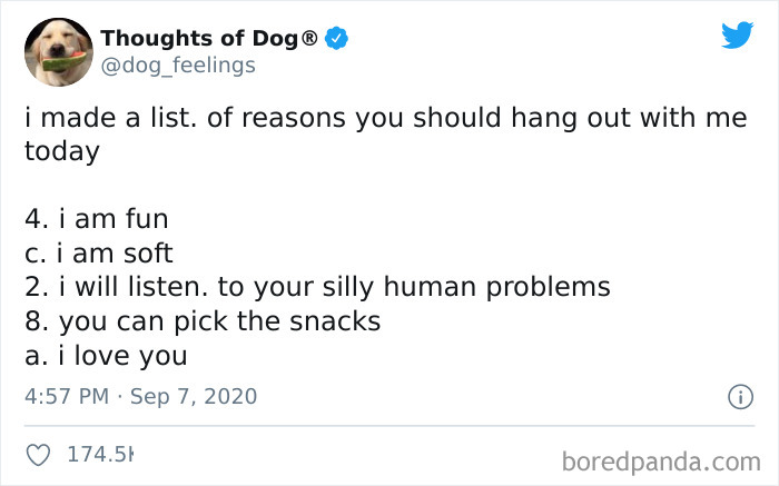 Hilarious-Dog-Thoughts-Tweets