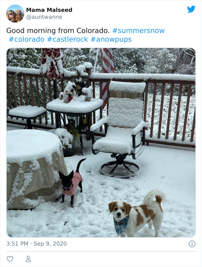 Snow Falls In Colorado Just 48 Hours After A Record Heatwave And It Proves Nothing Is Impossible In 2020 Snow Falls In Colorado Just 48 Hours After A Record Heatwave And It Proves Nothing Is Impossible In 2020
