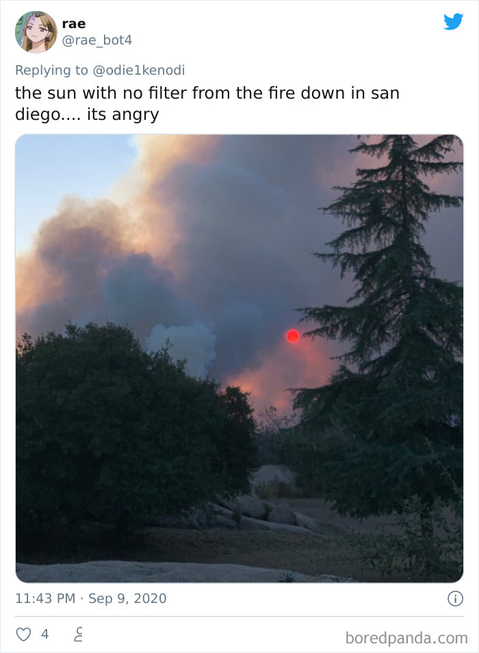 West-Coast-Oregon-California-Washington-Wildfires-Apocalypse