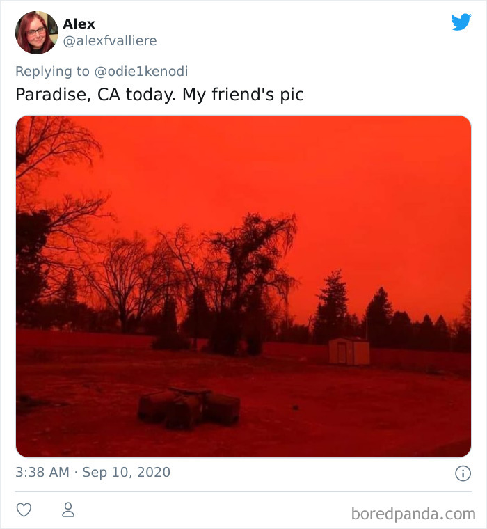 West-Coast-Oregon-California-Washington-Wildfires-Apocalypse