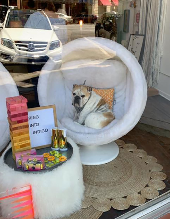 Is This Grumpy Gal For Sale Too?