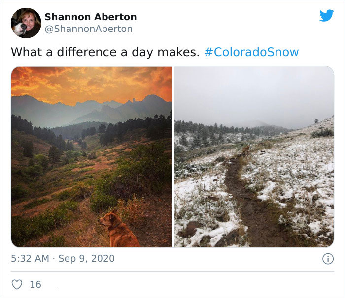 Snow Falls In Colorado Just 48 Hours After A Record Heatwave And It Proves Nothing Is Impossible In 2020