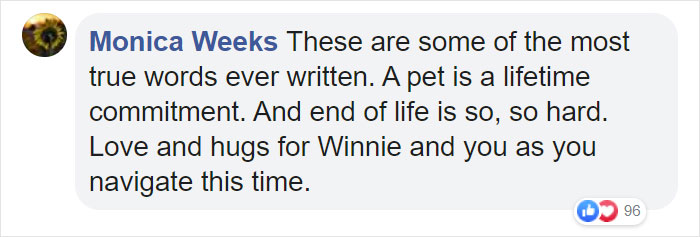 "Before You Get A Puppy, Imagine Yourself 10+ Years From Now": Woman's Brutally Honest Post About Getting A Dog Goes Viral