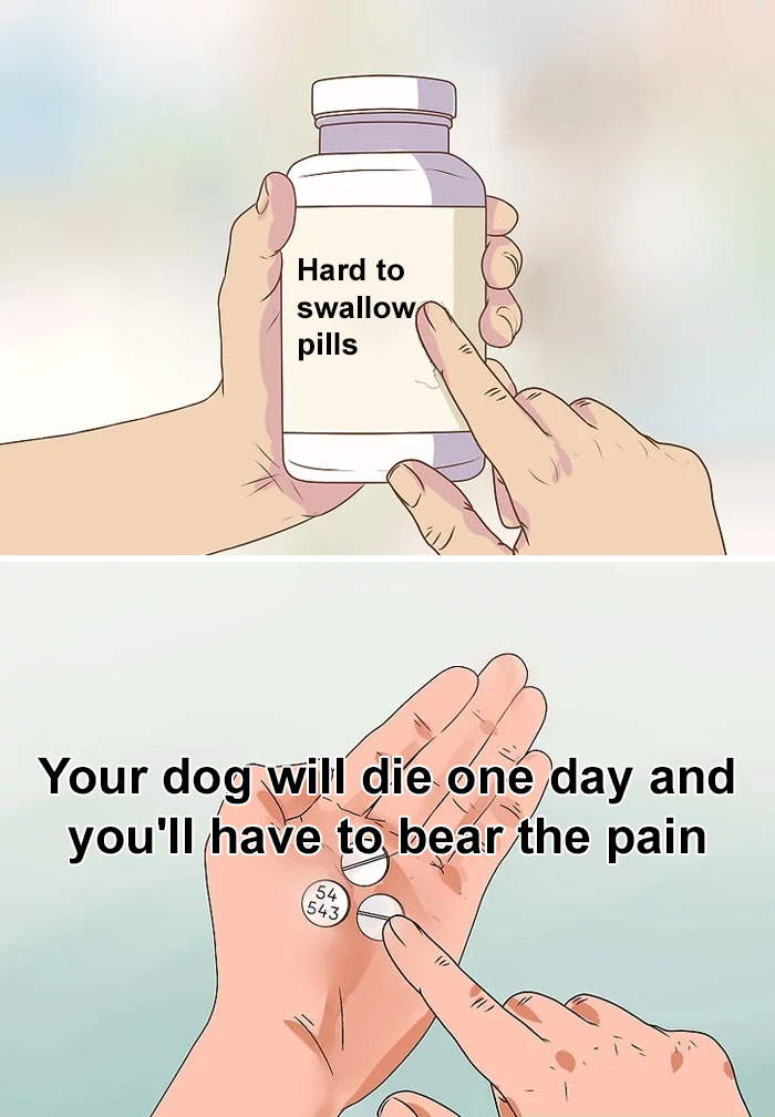 "Hard to swallow pill meme depicting the difficult truth about a dog's mortality and dealing with the pain."