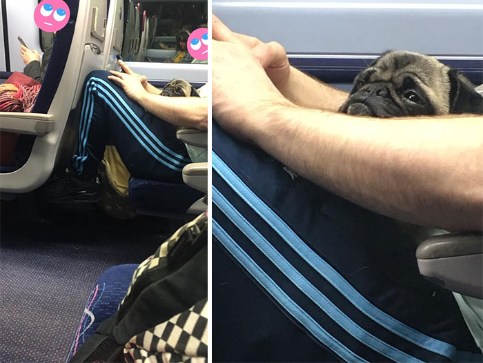 Nearly Squealed When I Saw His Grumpy Little Face Poking Out