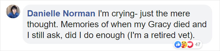 "Before You Get A Puppy, Imagine Yourself 10+ Years From Now": Woman's Brutally Honest Post About Getting A Dog Goes Viral