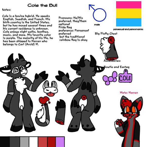 I Create 17 Drawings Of My Odd Love For A Fluffball