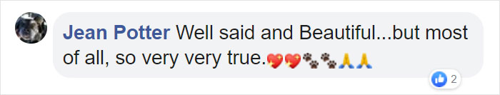 "Before You Get A Puppy, Imagine Yourself 10+ Years From Now": Woman's Brutally Honest Post About Getting A Dog Goes Viral