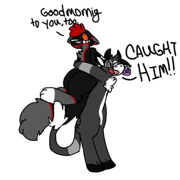 I Create 17 Drawings Of My Odd Love For A Fluffball